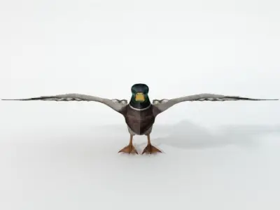  Black Duck Low-poly 3D model