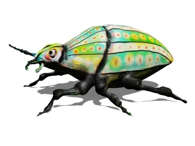 colorful beetle Low-poly 3D model
