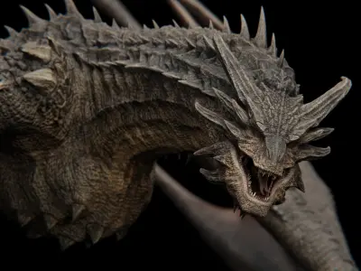 Dragon Low-poly 3D model 8
