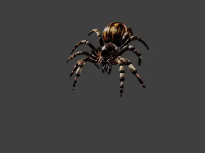 Spider Low-poly 3D model purchase