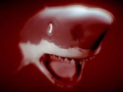 Shark 3D model 15