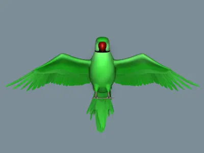 Parrot 3D model buy
