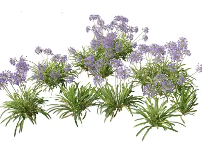 Temperate Flowering Shrubs Trees Pack 54 3D model