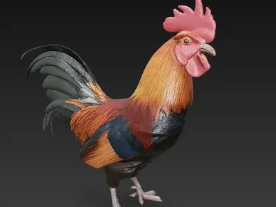 Black Rooster 3D Model Basic - Low Poly Simple Low-poly 3D model