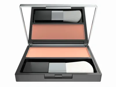 Blushing Powder 3D model