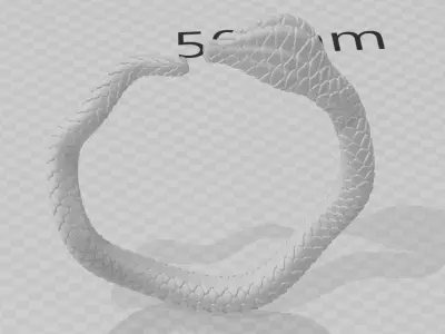 ANILLO VIVORA Free 3D print model
