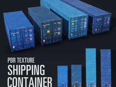 Container Pack Low-poly 3D model