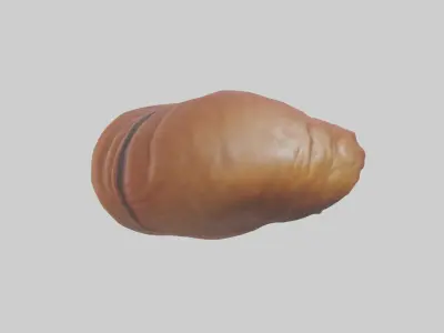 Deer Stomach Low-poly 3D model