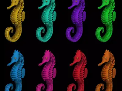Rainbow Seahorse Collection 3D model