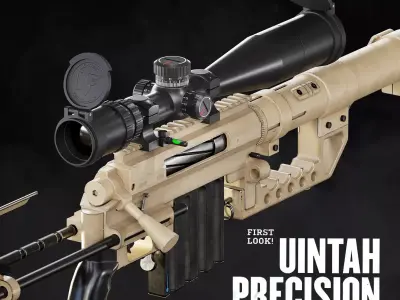 Cheytac M200 Gamerady Model Low-poly 3D model