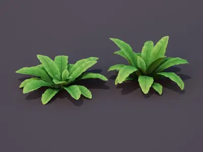 Bird Nest Fern Plant Low-poly 3D model