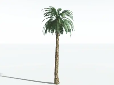 EVERYPlant Date Palm 2 --16 Models-- 3D model