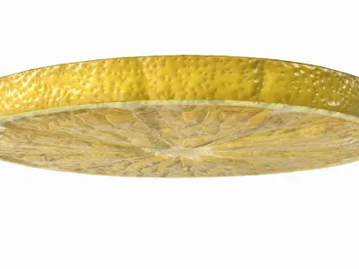  Lemon Slice(1) 
