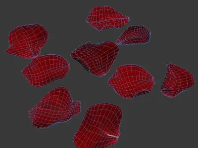 Rose Petals 3D model purchase