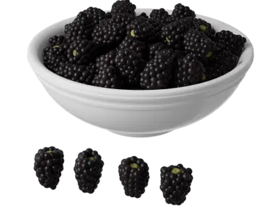  Black Raspberries Fruit Bowl Food Model  purchase