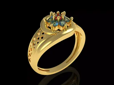 The Jamini Ring 3D print model