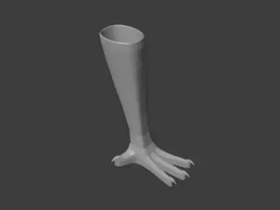 Bird Prosthesis - Mutum Free 3D print model