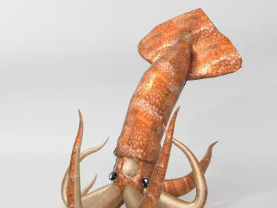 Squid octopus Low-poly 3D model