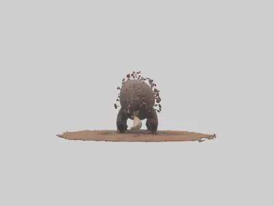Echidna digging for ants model 3D model