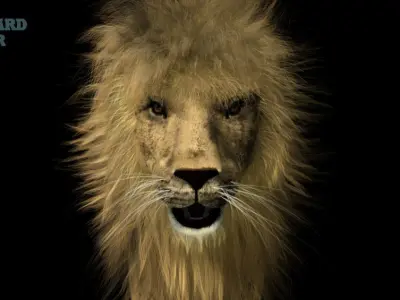 Lion 3D 3D model