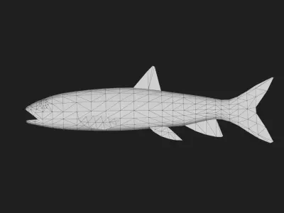 Trout Low-poly 3D model 3