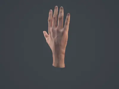 Male Hand  Low-poly 3D model