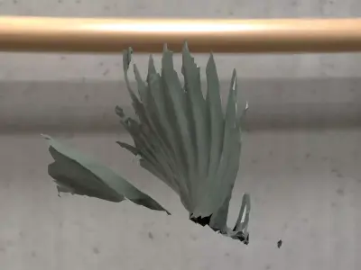 Fish Finn 3D model