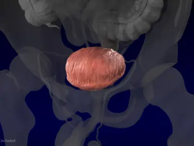  Human Organs Collection 