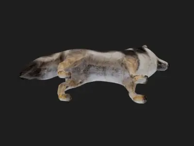 Wolff 3D model