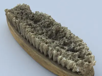 Brush High Poly wooden 3D model