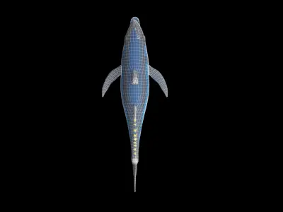 Bluefin tuna Low-poly 3D model