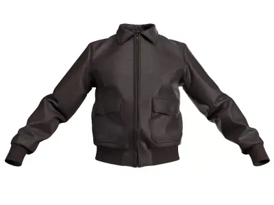 Aviators Leather Flight Jacket - Marvelous Designer  3D model