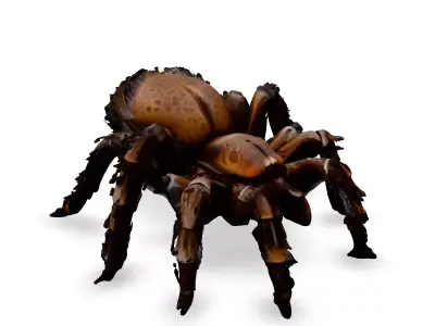 Realistic Huntsman Spider 3D Model Low-poly 3D model
