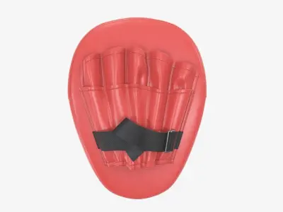Punch mitts 3D model