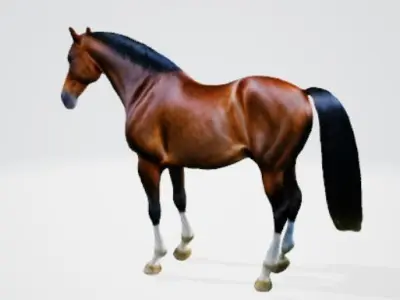 High quality horse model Low-poly 3D model