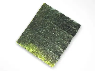 Sushi Nori 3D model
