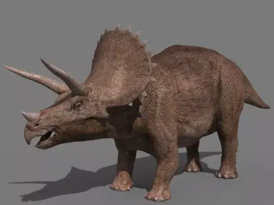 Triceratops Tribute - 8K 3D model