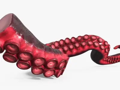  Octopus Tentacle Marine Anatomy Red 