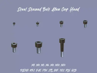 Steel Stained Bolt Allen Cap Collection with PBR 4K Textures 3D Model Pack