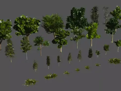 Forest Pack - 29 Trees and 20 Foliage Props - Unity Prefabs - Low-poly 3D model