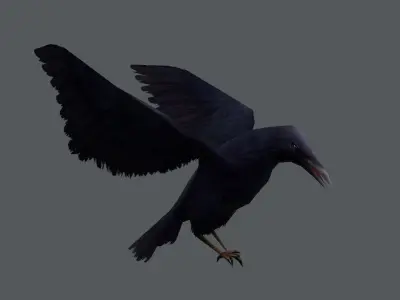 low-poly animated crow Low-poly 3D model