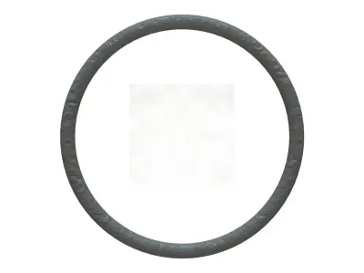 O Ring Vedabras 12923 3D model