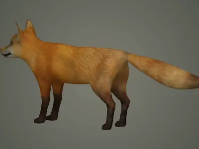 wildlife fox animal mammal fox animal nature wild  3D model