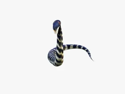 Snake Free 3D model 4