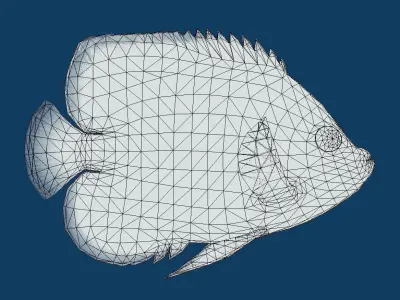 Manila Fish Low-poly 3D model