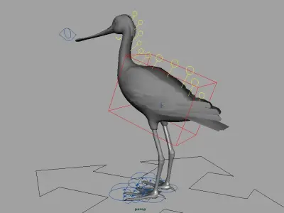 spoonbill stork with beak 3D model
