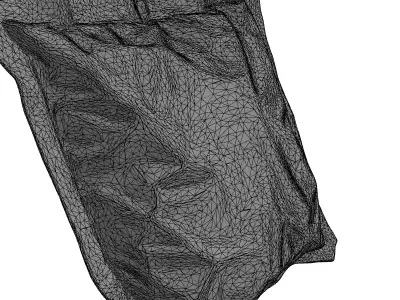 Military Ration Food Pouch 3D Low-poly 3D model