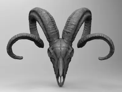 CRANEO CARNERO IMPRESION 3D - RAM SKULL 3D PRINTING 3D print model