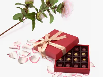 Camellia Flower with Chocolate Box Collection 3D model