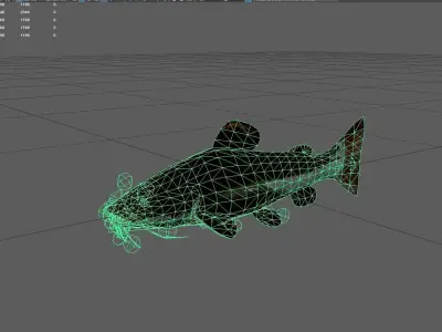 Catfish Low-poly 3D model buy